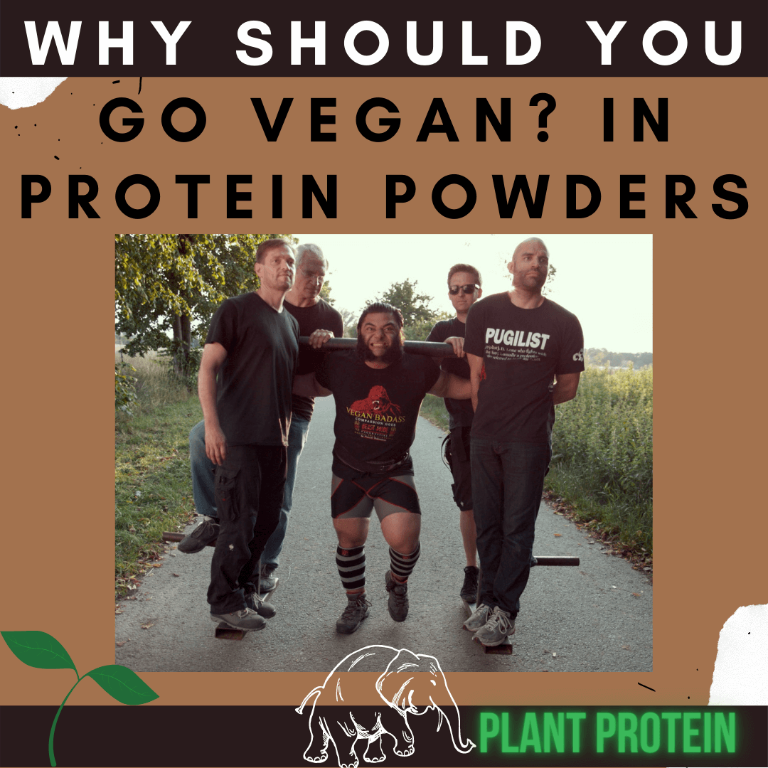 Why Should You Go Vegan? In Protein Powders